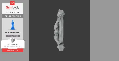Side view of a 3D printed Bowmouth Guitarfish skull replica in gray.