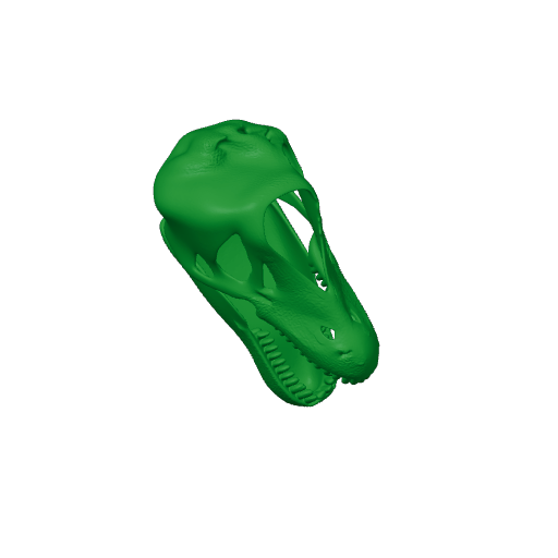 Brontosaurus Skull.3mf