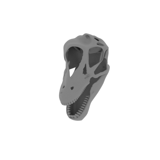 Brontosaurus Skull.stl