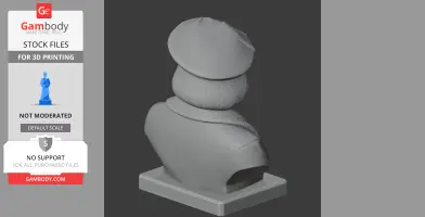 3D model bust of a historical figure, wearing a cap and textured clothing, viewed from the back.