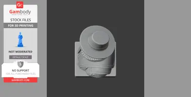 Top view of a 3D printable bust featuring a historical figure in a wide-brimmed hat.
