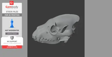 3D model of a brown hyena skull, detailed for printing.
