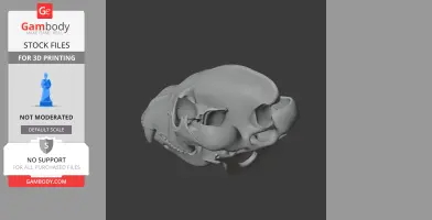 3D model of a brown hyena skull for 3D printing, displaying detailed bone structures.