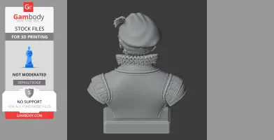 Francis Drake Bust - Historical Warrior STL