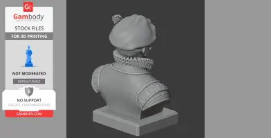 Francis Drake Bust - Historical Warrior STL