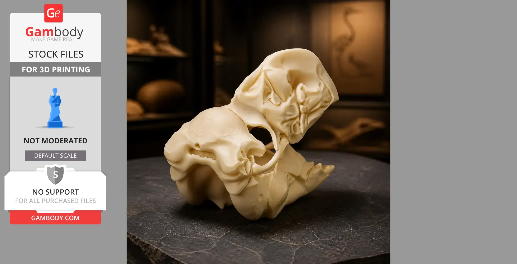 Bullockornis planei Skull - Skull Replica STL