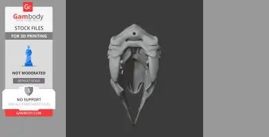 Bullockornis planei Skull - Skull Replica STL