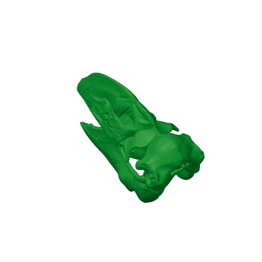 Bullockornis planei Skull.3mf