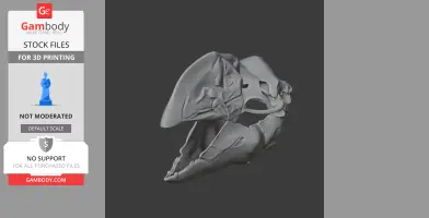 Bullockornis planei Skull - Skull Replica STL