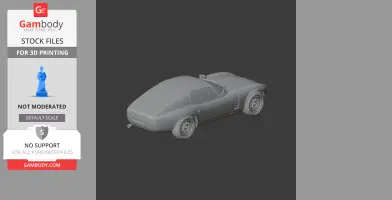 3D model of Alfa Romeo Canguro car, viewed from the rear, designed for 3D printing.