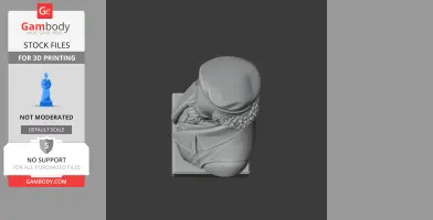 Francisco Goya Bust - Historical Warrior STL