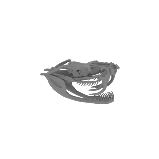 Bushmaster Skull.stl
