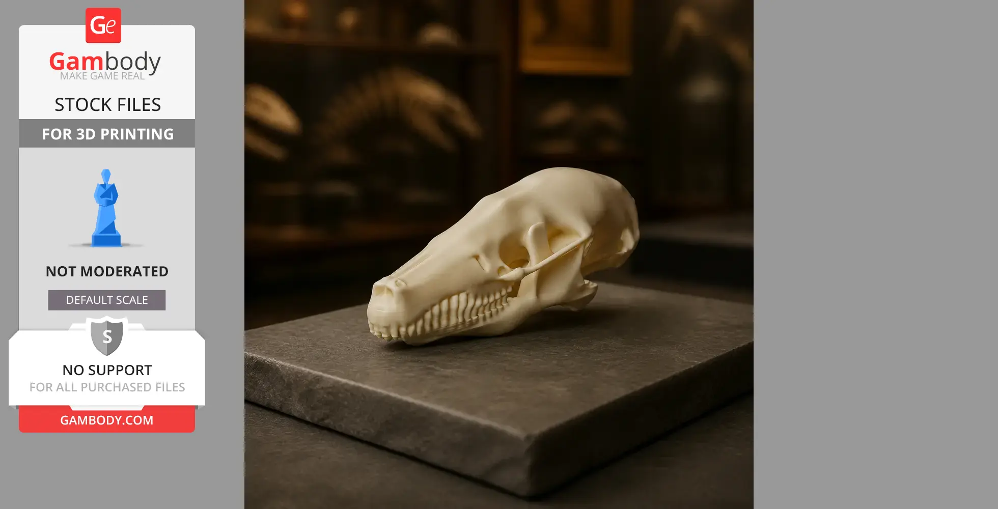 Cape Golden Mole Skull - Skull Replica STL