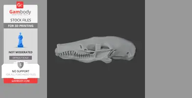 Cape Golden Mole Skull - Skull Replica STL