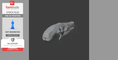 Cape Golden Mole Skull - Skull Replica STL