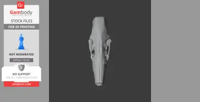 Cape Golden Mole Skull - Skull Replica STL