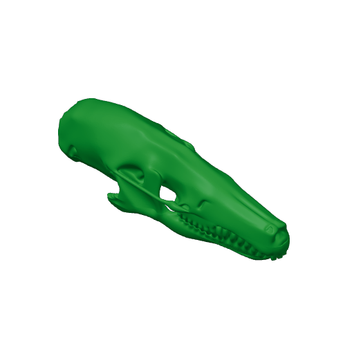 Cape Golden Mole Skull.3mf
