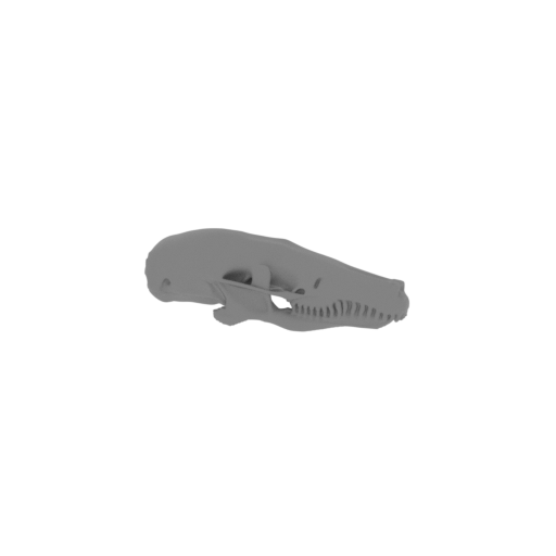 Cape Golden Mole Skull.stl