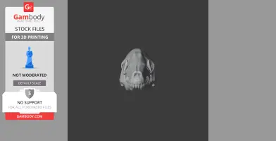 Cape Golden Mole Skull - Skull Replica STL
