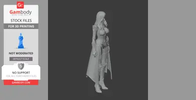 Artillerist - Lost Ark Figurine - Character Figure STL