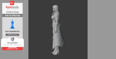 Artillerist - Lost Ark Figurine - Character Figure STL