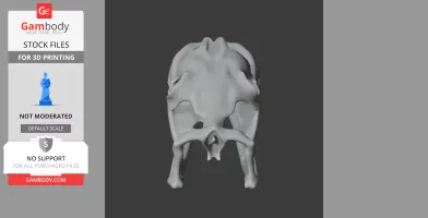 Carpet Python Skull - Skull Replica STL