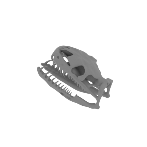 Carpet Python Skull.stl