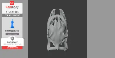 Carpet Python Skull - Skull Replica STL