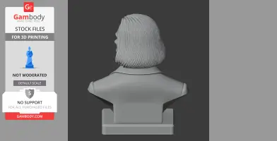 3D bust of Franz Liszt as a historical warrior, viewed from the back. Hair details visible.