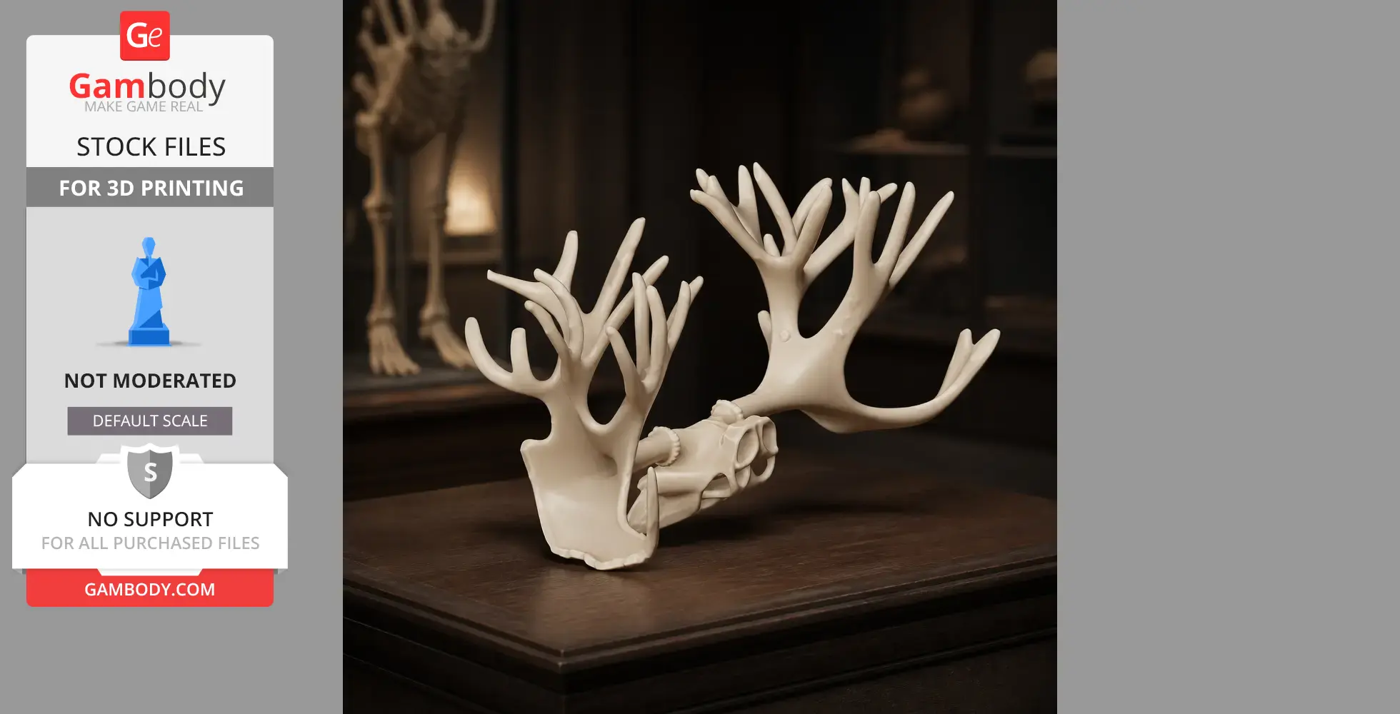 Cervalces Skull - Skull Replica STL
