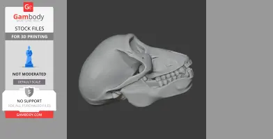 3D model of a Chacma baboon skull, side view, detailed for 3D printing.