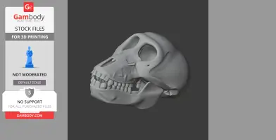 3D model of a chacma baboon skull, side view, for 3D printing purposes.