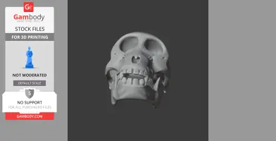 3D model of a Chacma Baboon skull, suitable for 3D printing, displayed frontally.