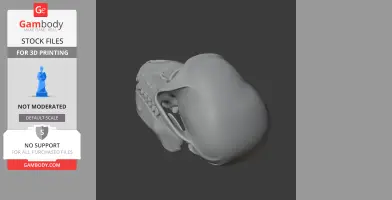 3D model of a Chacma baboon skull on a dark background, shown from a side angle.