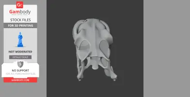 3D model of a Children's Python skull, detailed and suitable for 3D printing.