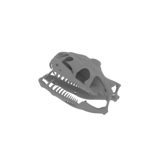 Children's Python Skull.stl