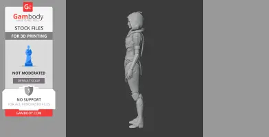 A detailed 3D model of a hooded, armored character figure standing in a side view pose.