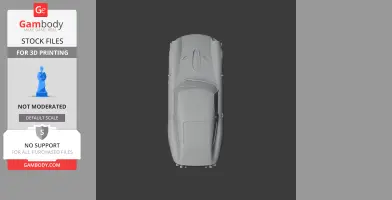 Top view of a 3D printed Alfa Romeo Giulia TZ model, grayscale, showcasing sleek and smooth contours.