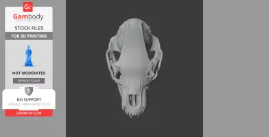 3D model of a brown bear skull viewed from the top on a dark background.