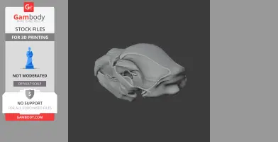 3D model of a brown bear skull, detailed and ready for 3D printing, displayed on a dark background.