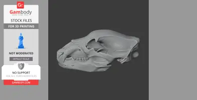 3D model of a brown bear skull, detailed for 3D printing, displayed in a side view.