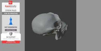 A 3D model of a chimpanzee skull, side view, designed for 3D printing.