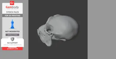 3D model of a chimpanzee skull, showcasing detailed bone structure, for 3D printing use.