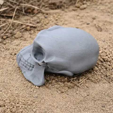 3D printed gray chimpanzee skull replica resting on sandy ground.