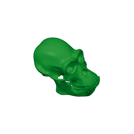 Chimpanzee Skull.3mf