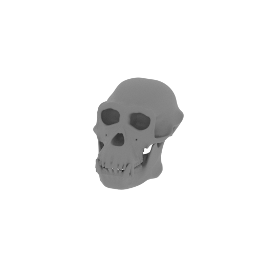 Chimpanzee Skull.stl