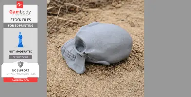 A 3D printed chimpanzee skull replica lying on sandy ground.
