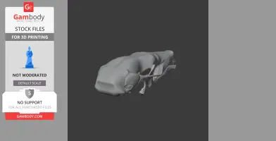 3D model of a coast mole skull, showcasing detailed bone structure and teeth, on a dark background.