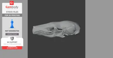 3D model of a coast mole skull, detailed with visible teeth and bone structure for printing.
