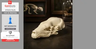 Coast Mole Skull 3D print replica displayed on a dark surface, with framed skeletal art in the background.